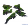 Java Moss Vesicularia dubyana su Mangrovia XSS - Muschio per acquario